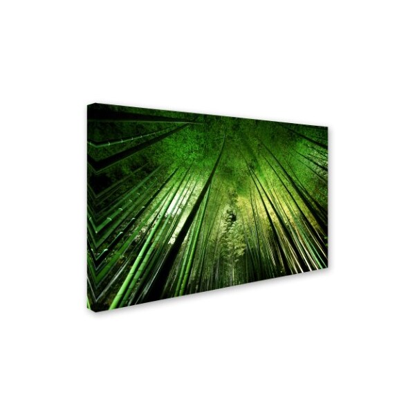 Takeshi Marumoto 'Bamboo Night' Canvas Art,12x19